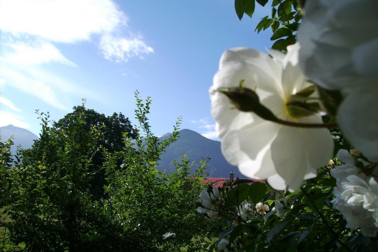 Fetznhof-Zuhaus Villa Grassau  Dış mekan fotoğraf