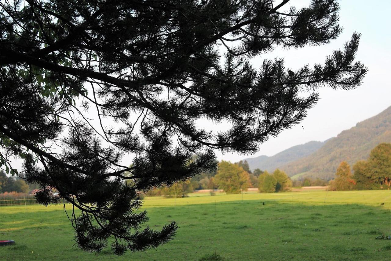 Fetznhof-Zuhaus Villa Grassau  Dış mekan fotoğraf